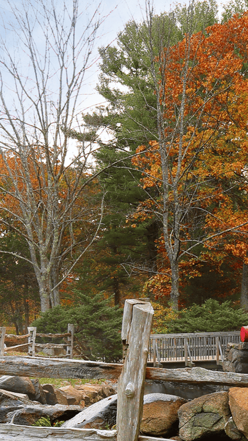 Val Caron Homes For Sale Greater Sudbury, ON Real Estate