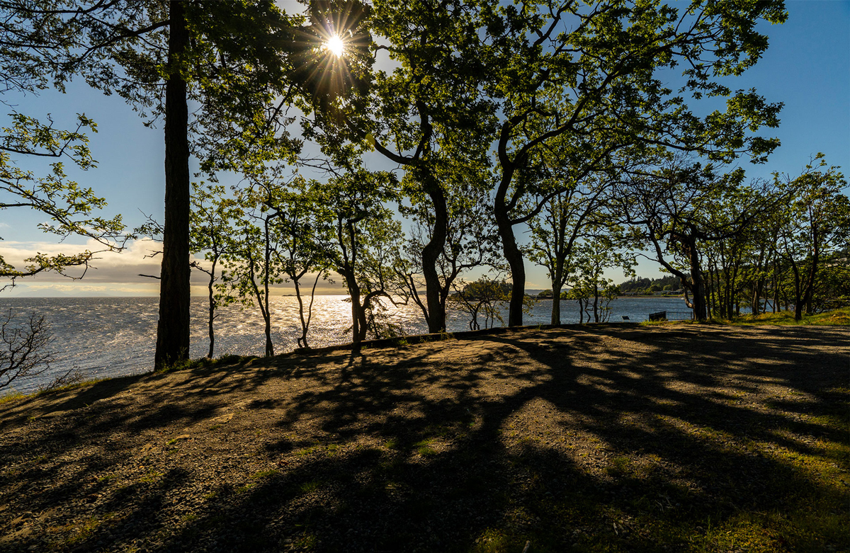 Cinnibar Valley, Ontario view during the summer.